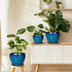 6 inch ceramic glazed succulent planter pot with saucer