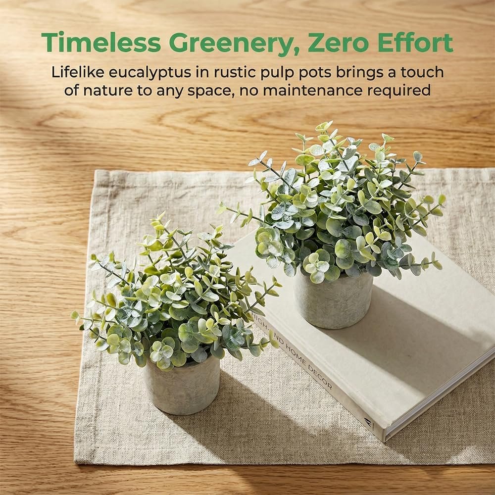 Small artificial eucalyptus plants in decorative pots