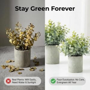 2 pack small faux eucalyptus potted plants for home decor
