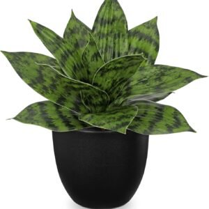 Hollyone Artificial Snake Plant in Black Pot